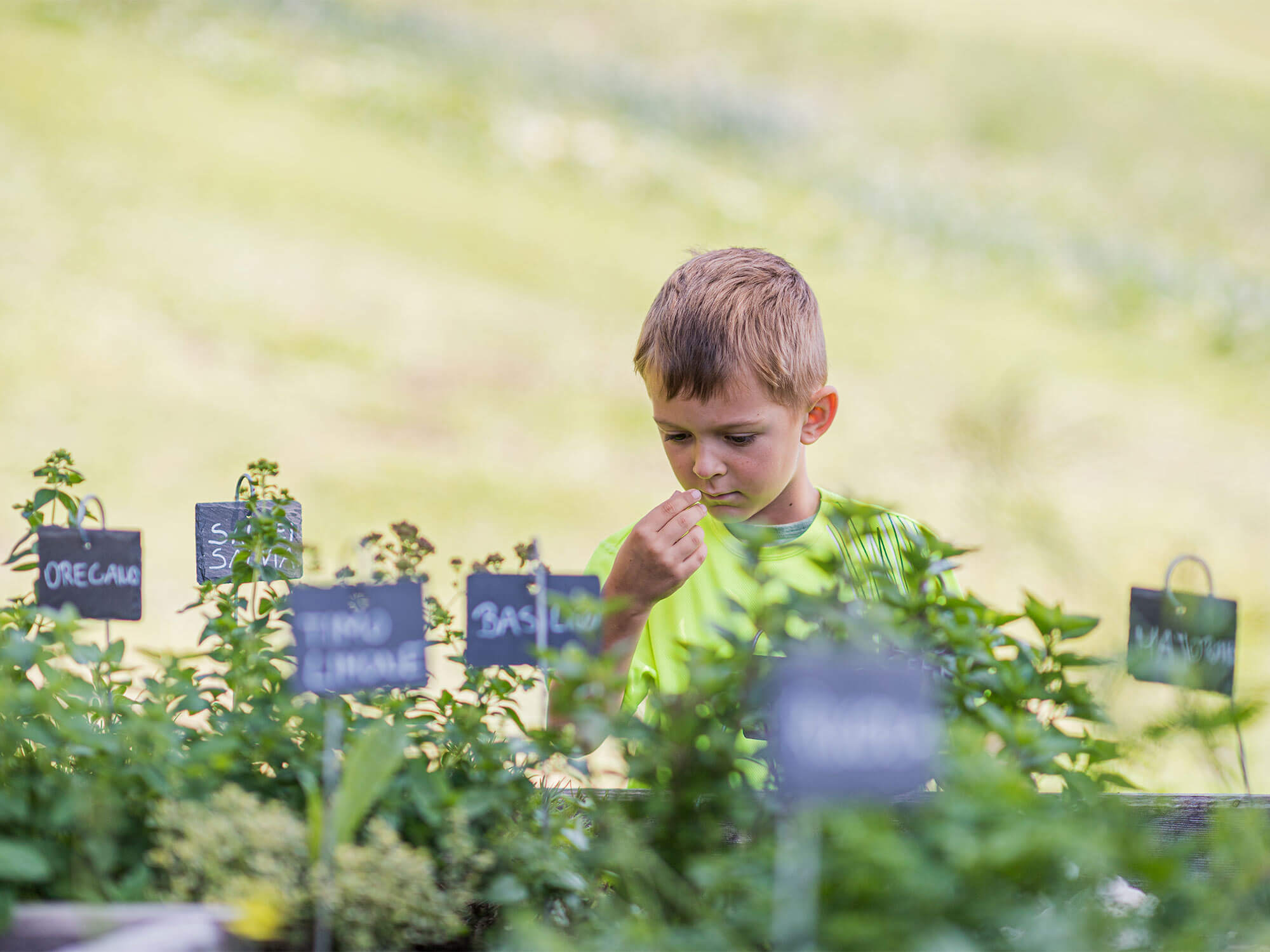 Kind beim Kräutergarten