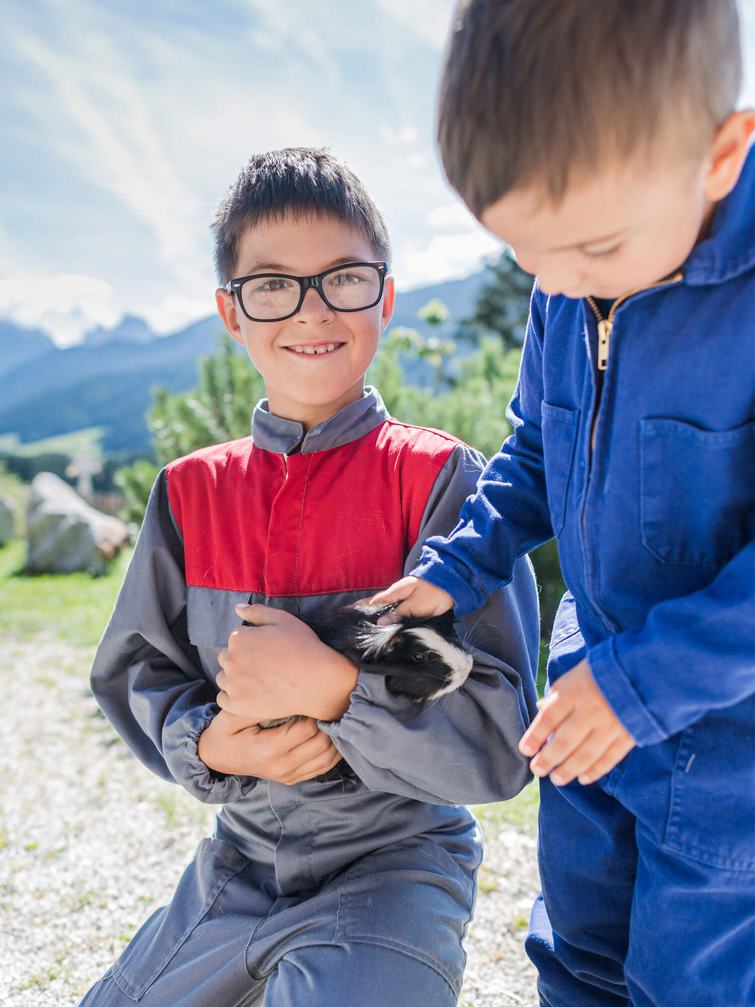 Maso con tantissimi animali